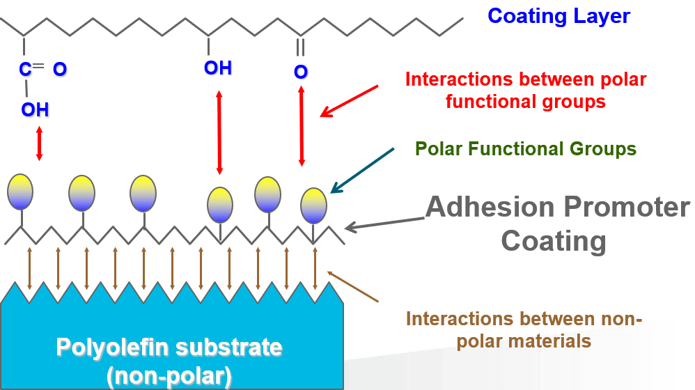 Eastman Polyolefin Adhesion Promoters How to Use, Product Article