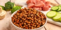 Evonik - AvailOm® Omega-3 For Pet Food thumbnail