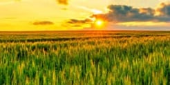 Agriculture Offerings thumbnail