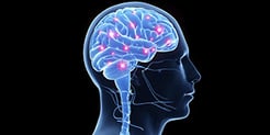 Stepan Lipid Nutrition for Brain Health thumbnail