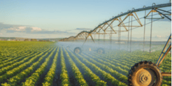 AGSOY® Methyl Esters for Crop Protection thumbnail