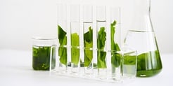 Sustainable Chemistry: SeaSpen® Carrageenan thumbnail
