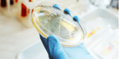 How to Select Your Preservative? thumbnail